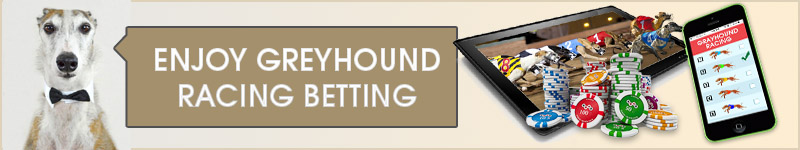 Check out the best greyhound betting sites.